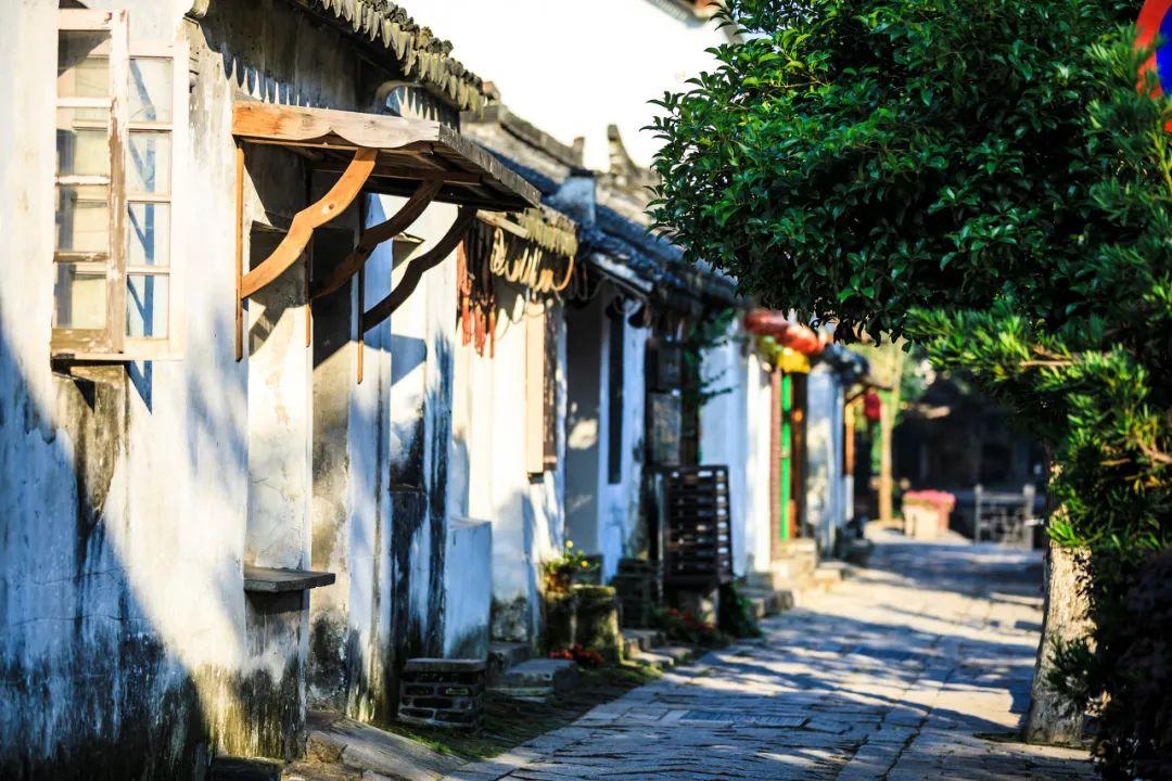 河南南阳：迅速查明方城县独树镇英才学校火灾原因，依法依规依纪严肃追究相关责任