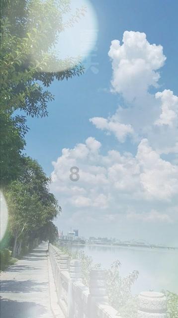 以撒的结合：胎衣